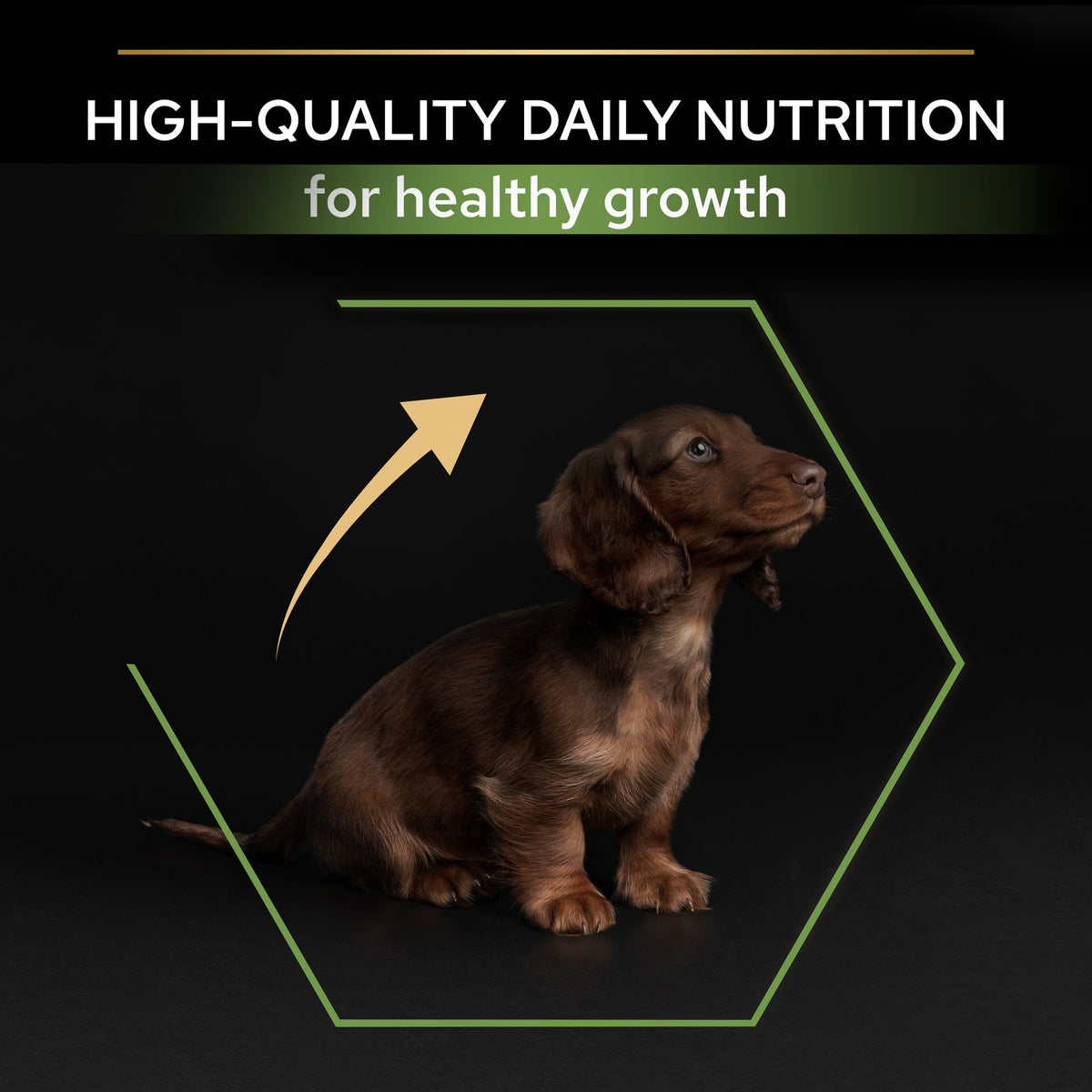 Purina Pro Plan Healthy Start Small and Mini Puppy, Dry Dog food with Chicken, 3 kg