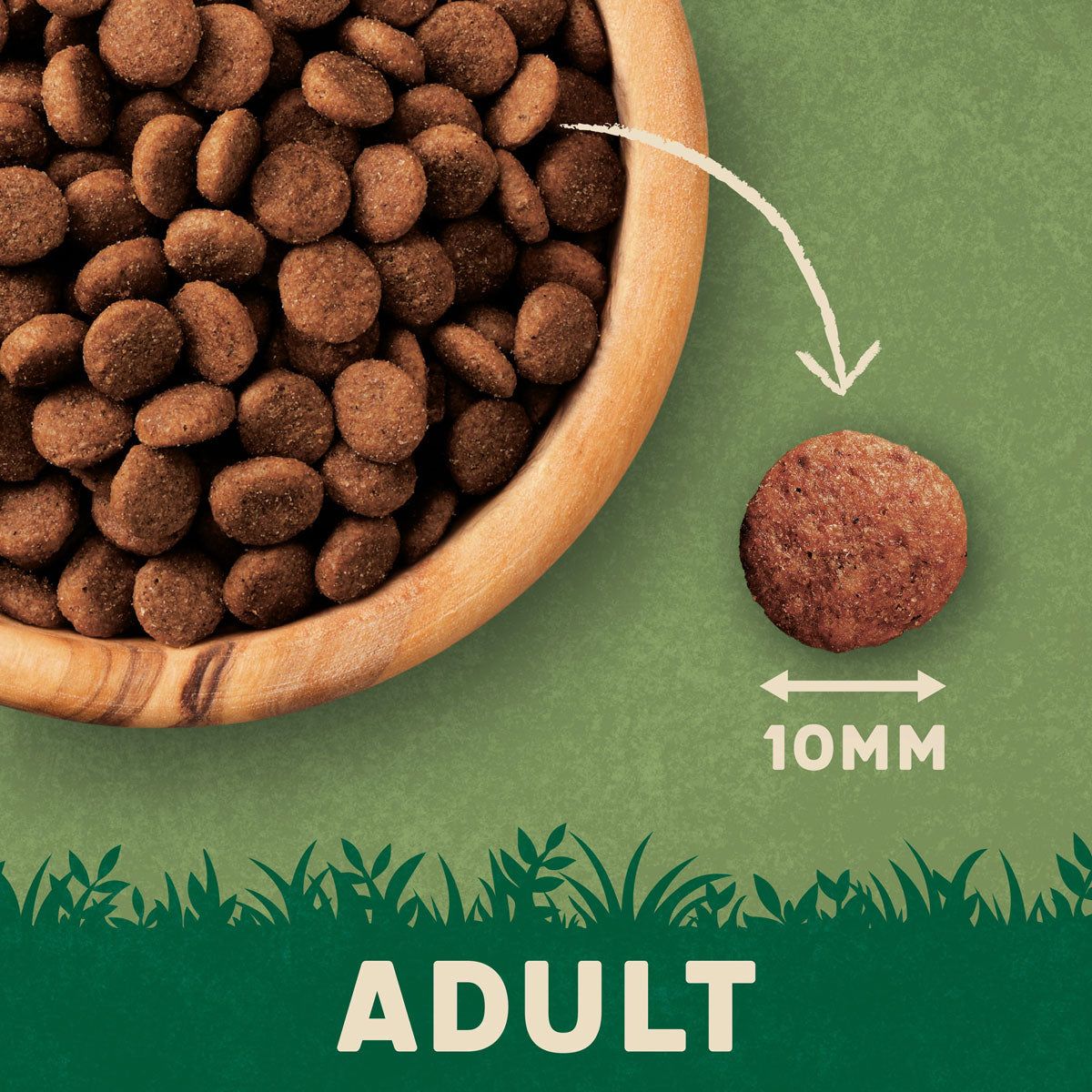 Harringtons Complete Chicken Adult Dry Cat Food 2kg