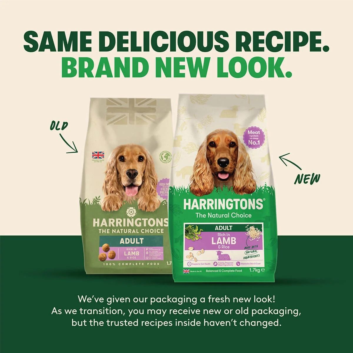 Harringtons Complete Lamb & Rice Adult Dry Dog Food 1.7KG