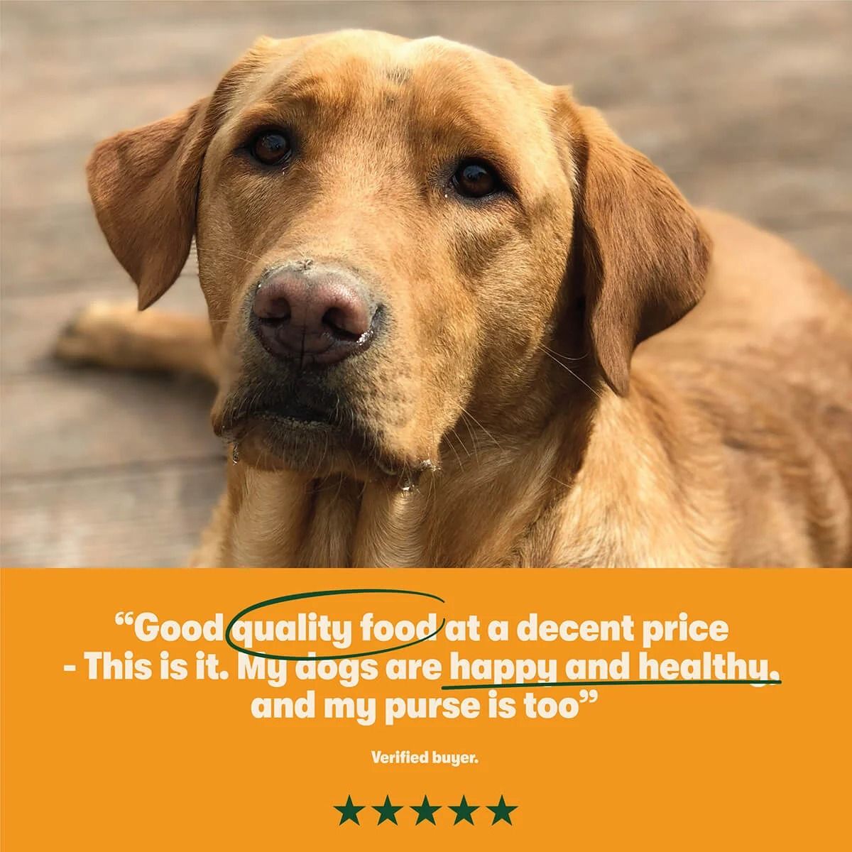 Harringtons Complete Turkey with Veg Adult Dry Dog Food 1.7KG