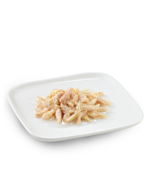 Schesir Dog Wet Food Can-Chicken Natural Style 85g