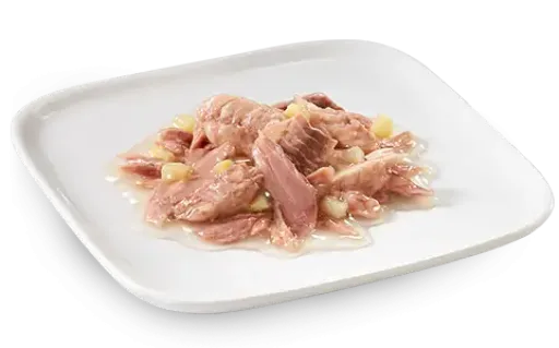 Schesir Dog Wet Food Can-Ocean Fish with Tuna 85g