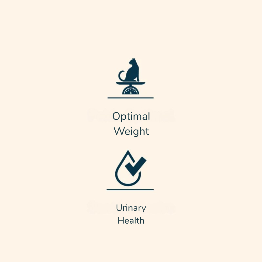 Prestige Sterilised Adult Chicken Dry Cat Food