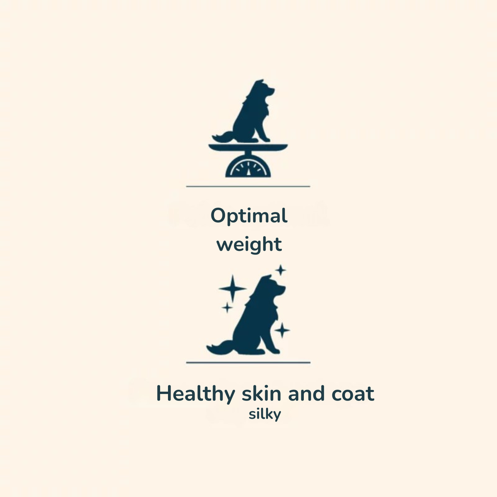 Prestige Light Sterilised Adult Medium & Maxi Dry Dog Food