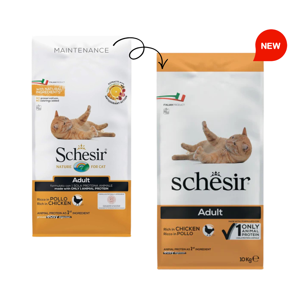 Schesir Cat Dry Food Maintenance with Chicken-Adult 10kg