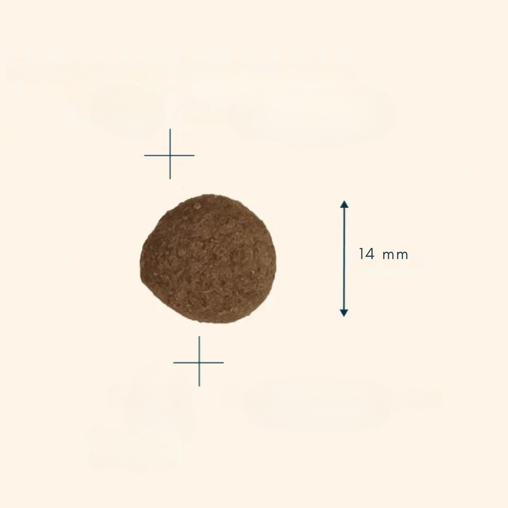 Prestige Adult Medium Dry Dog Food