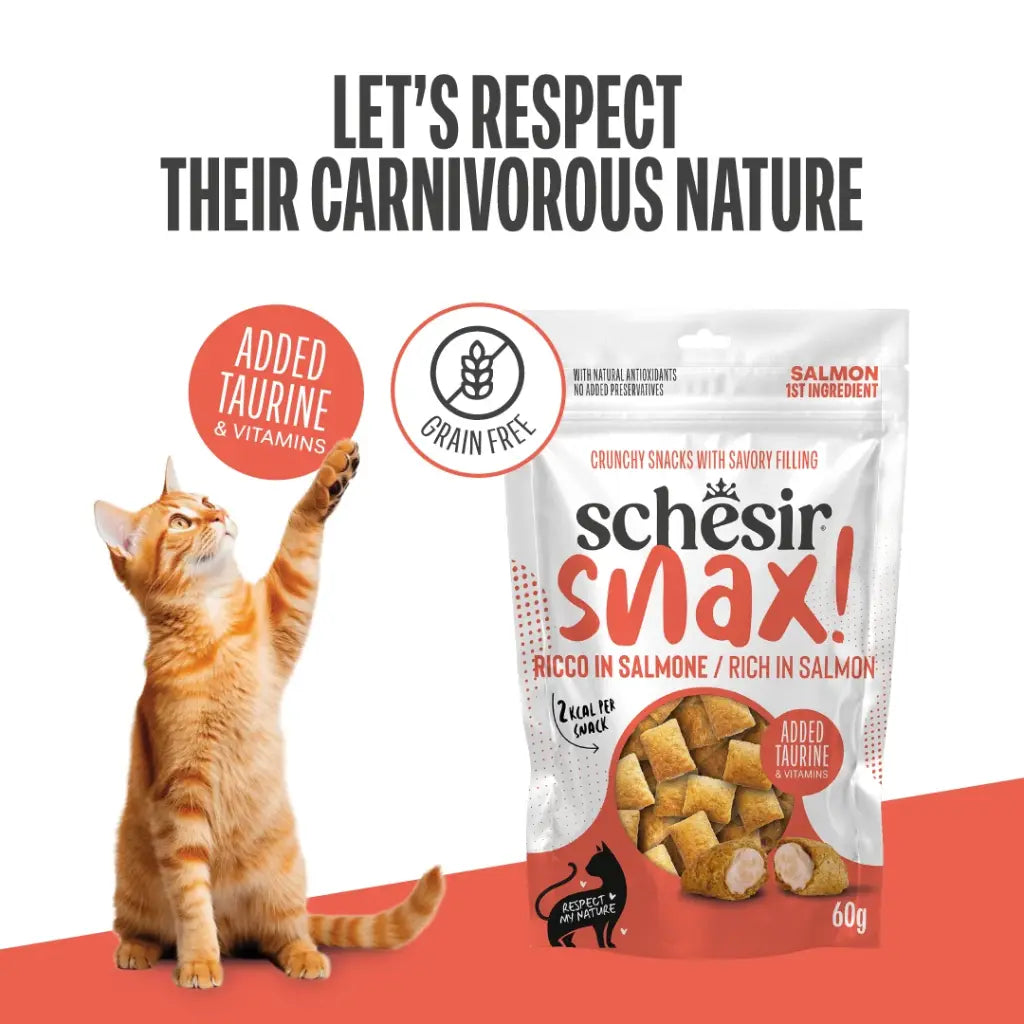 Schesir Snax! Crunchy & Creamy Cat Snack 60g-Salmon