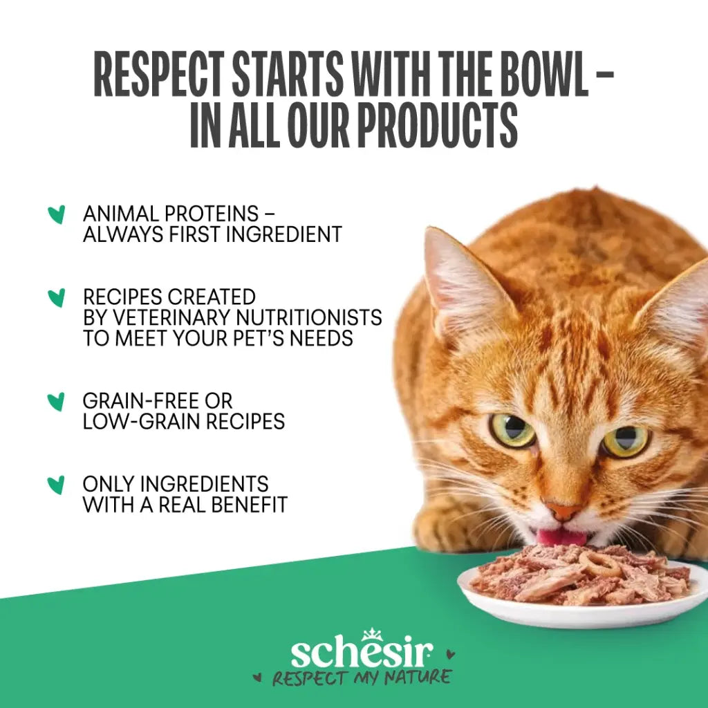 Schesir Snax! Crunchy & Creamy Cat Snack 60g-Salmon