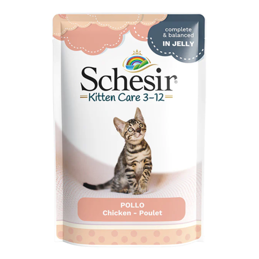 Schesir Kitten Care 3-12 in Jelly Chicken Pouch 85g
