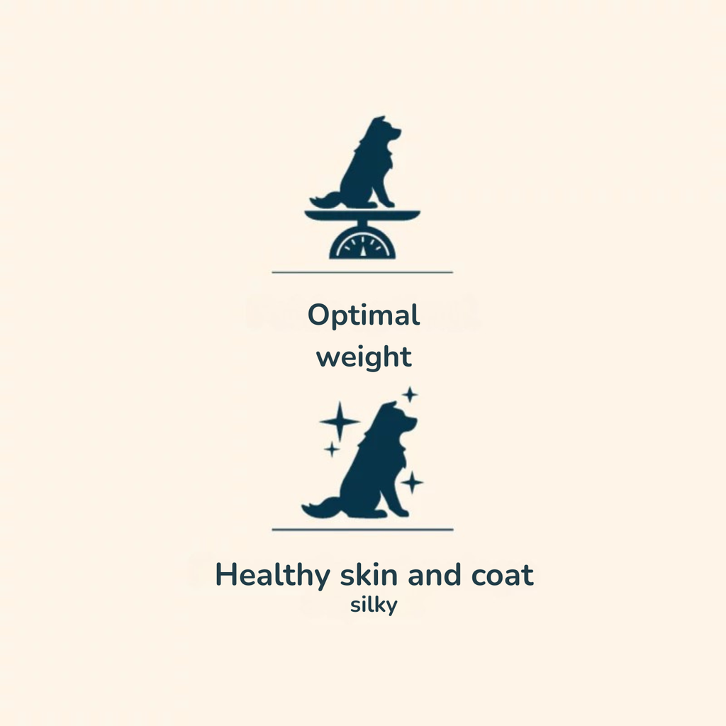 Prestige Light Sterilised Adult Mini Dry Dog Food