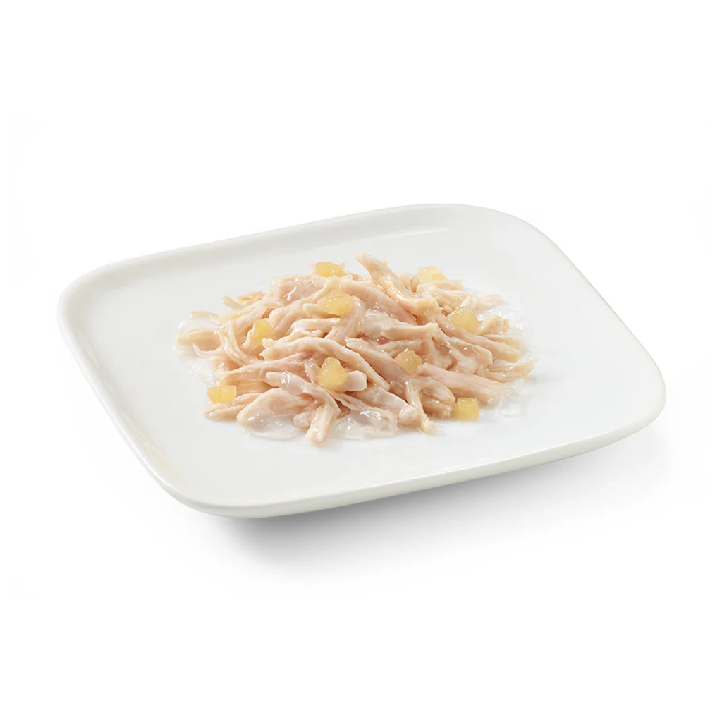 Schesir Dog Wet Food-Chicken Fillets With Apple 150g