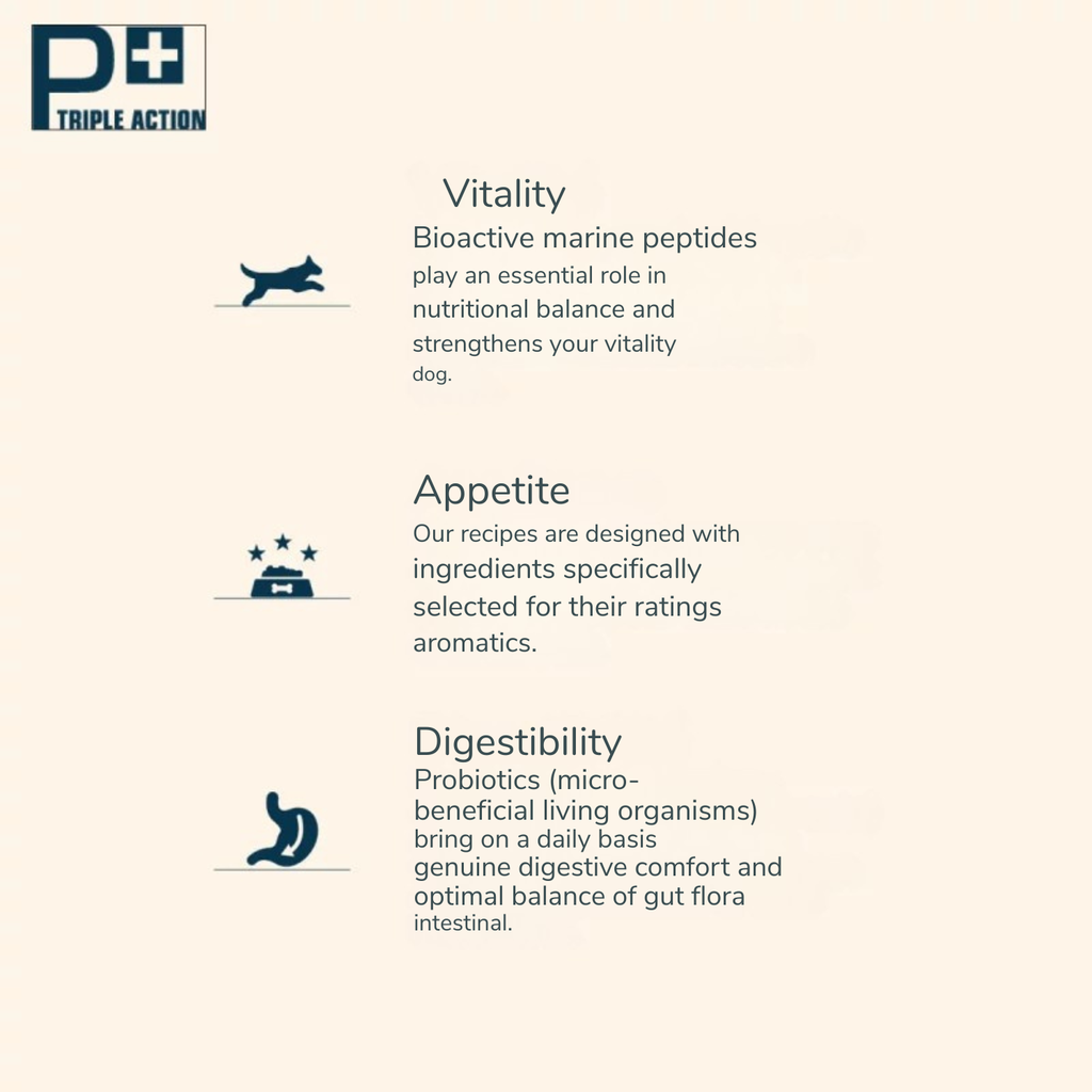 Prestige Adult Maxi Dry Dog Food