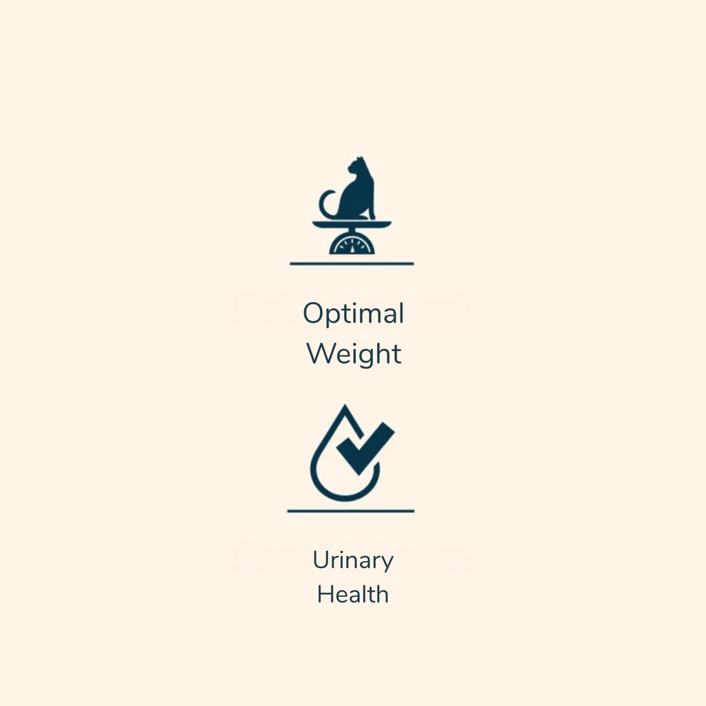 Prestige Sterilised Adult Fish Dry Cat Food