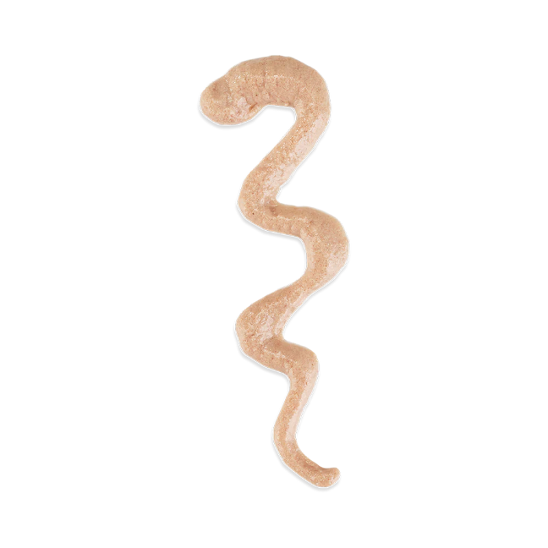 Schesir Stix Treat For Cat In Cream - Salmon 6x15g