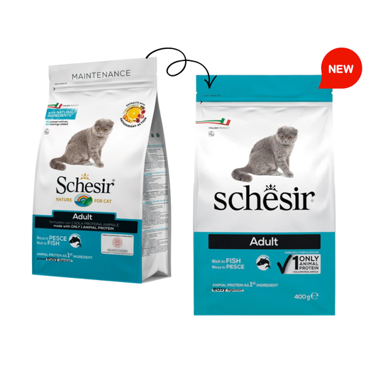 Schesir Cat Dry Food Maintenance with Fish-Adult 400g