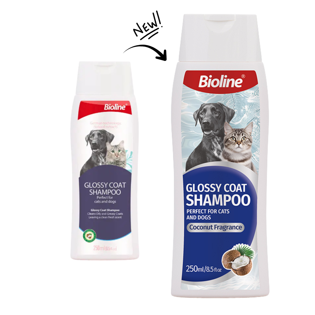 Bioline Glossy Coat Shampoo for Dogs & Cats 250ml