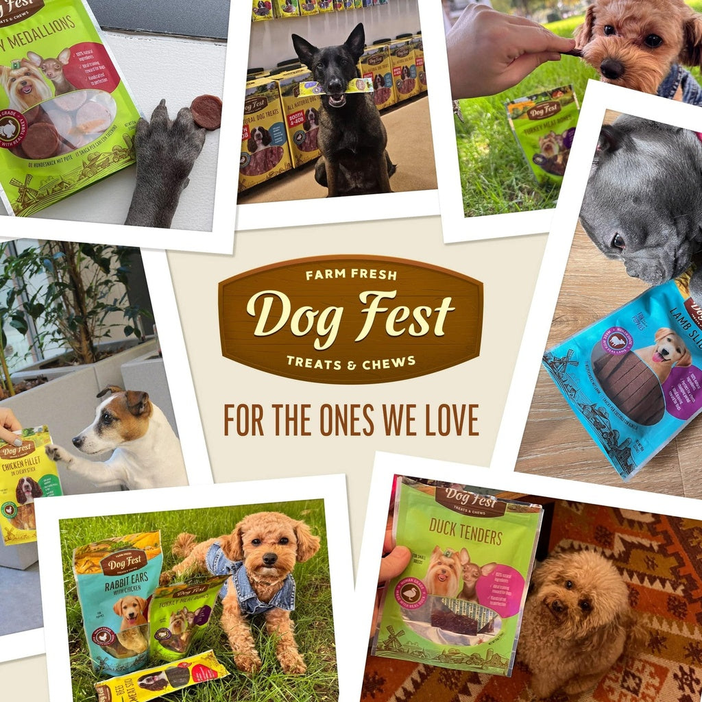 Dog Fest Duck Fillets for Adult Dogs 90g