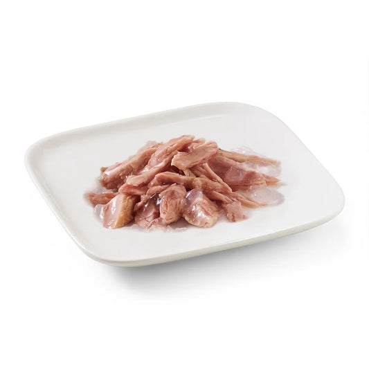 Schesir Dog Wet Food in Jelly Can-Tuna 150g