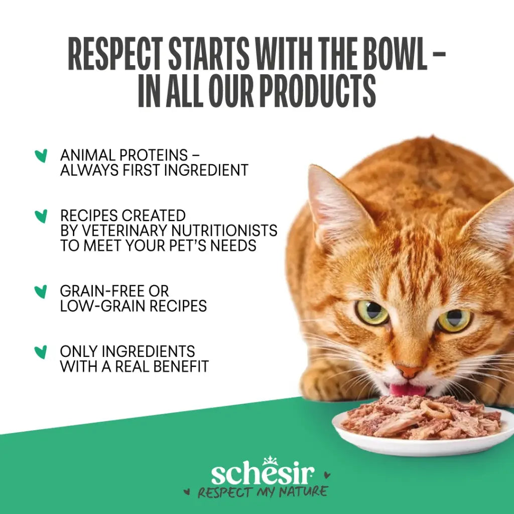 Schesir Snax! Crunchy & Creamy Cat Snack 60g-Beef