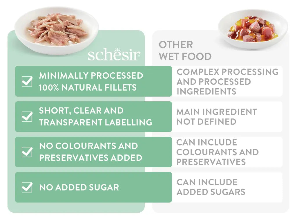 Schesir Complements Cat Wet Food in Jelly Can- Tuna With Dentex 70g