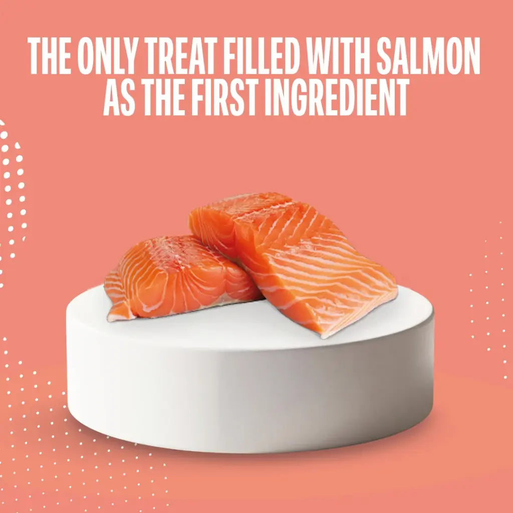 Schesir Snax! Crunchy & Creamy Cat Snack 60g-Salmon