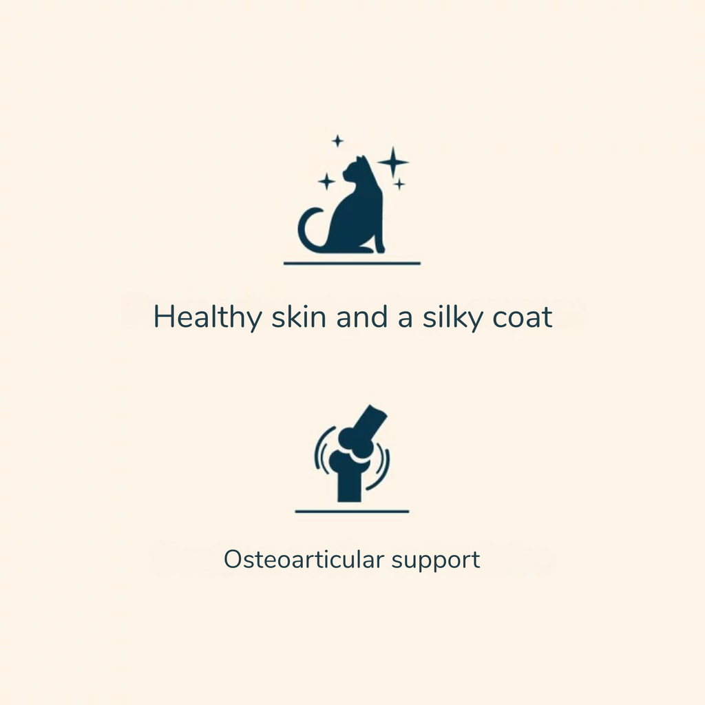 Prestige Large Breed Chicken Dry Cat Food