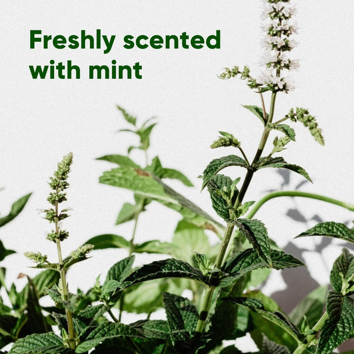Beco Pets Mint Scented Poop Bags 120pcs