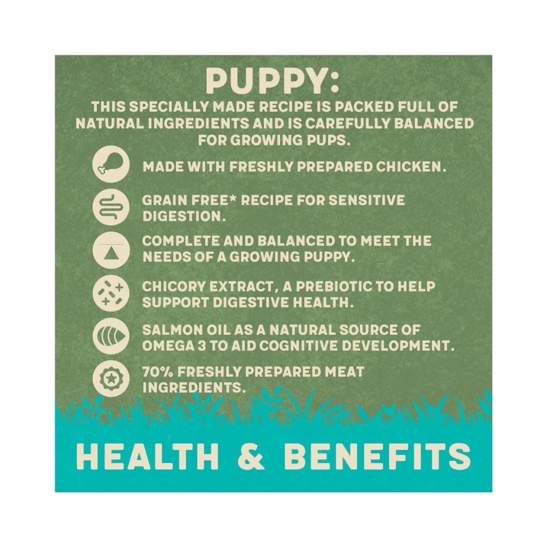 Harringtons Chicken & Potato Grain Free Wet Puppy Food 380g