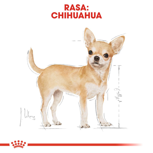 Royal Canin Chihuahua Adult Dry Dog Food - 500g