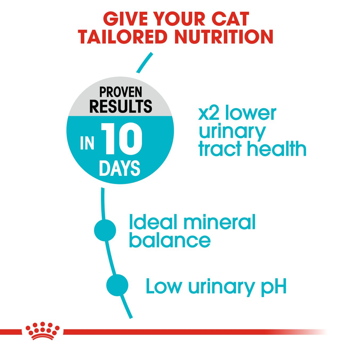 Royal Canin Urinary Care Dry Cat Food - 4kg