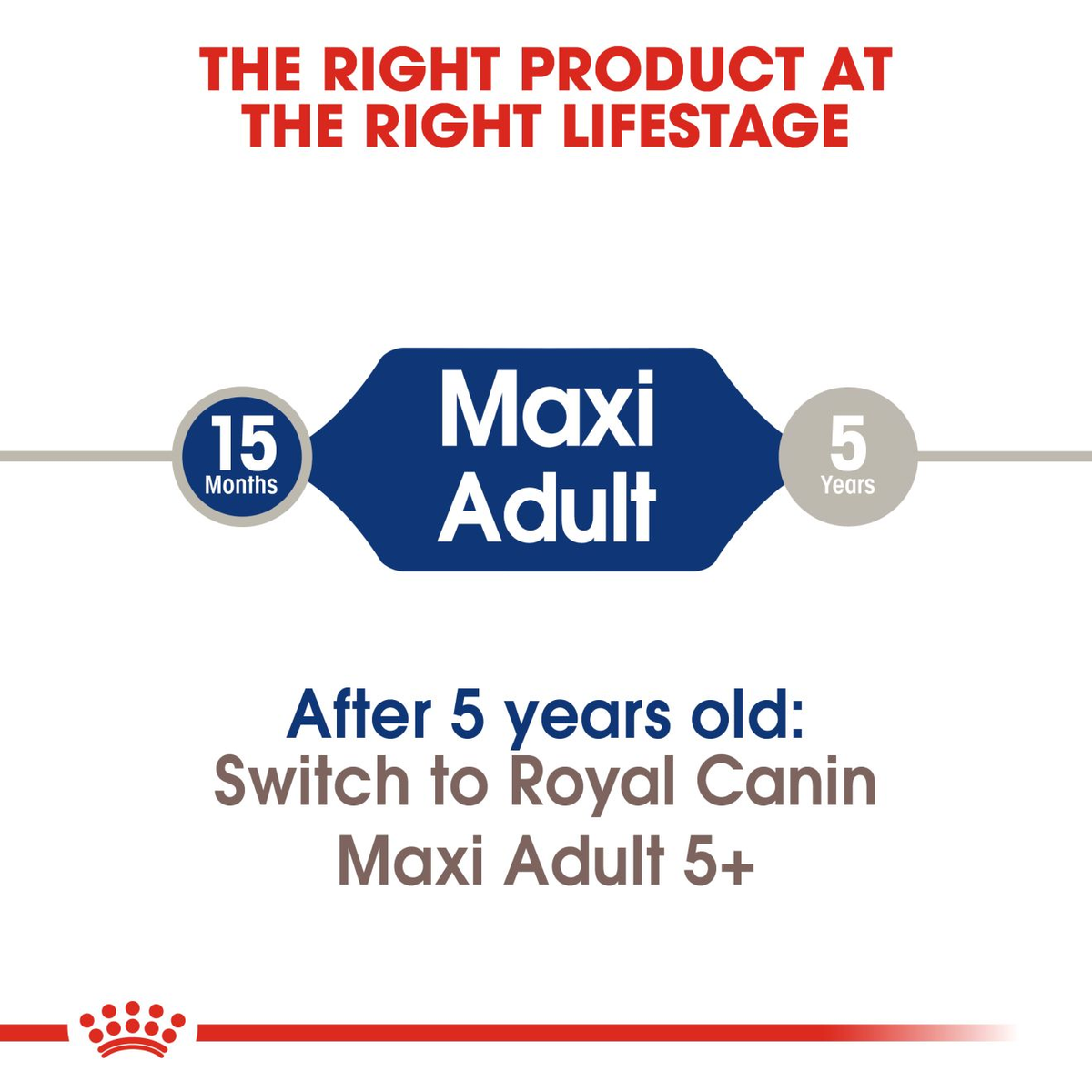 Royal Canin Maxi Adult Dry Dog Food - 15kg