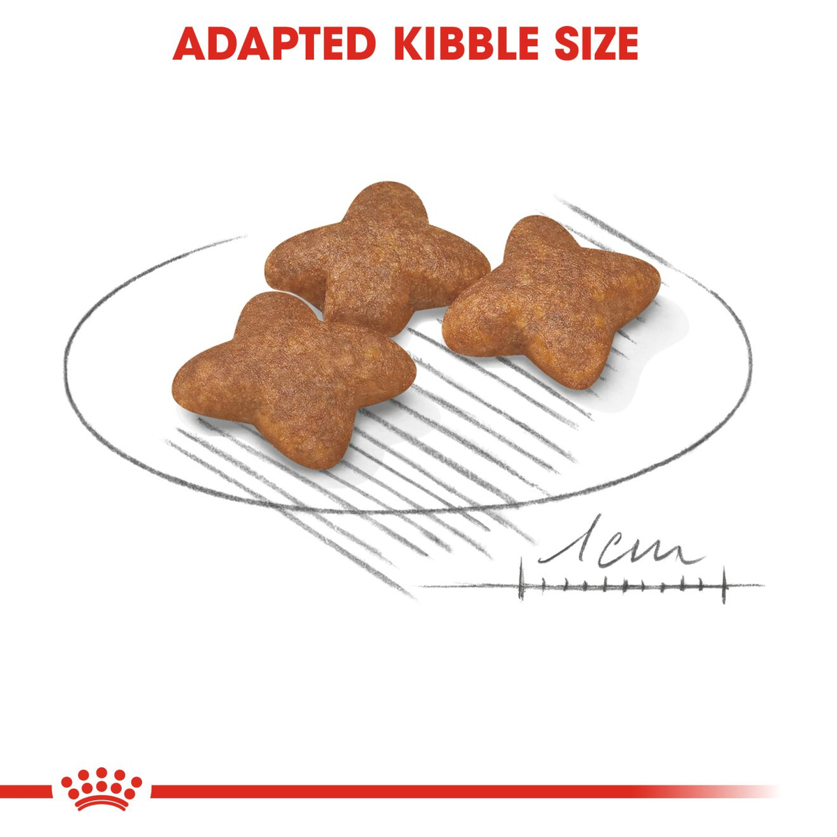 Royal Canin Mini Adult Dry Dog Food - 4kg