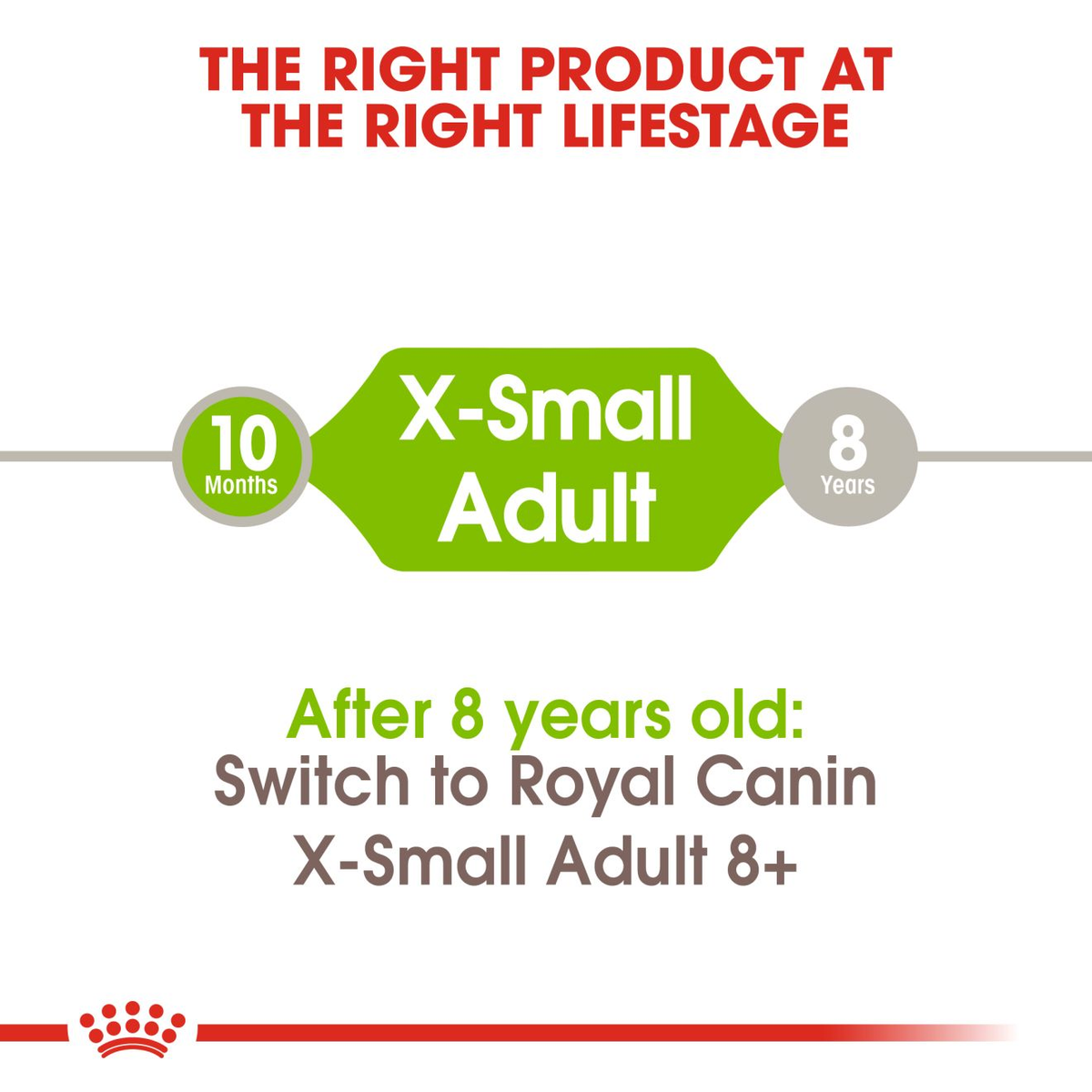 Royal Canin X-Small Adult Dry Dog Food - 3kg