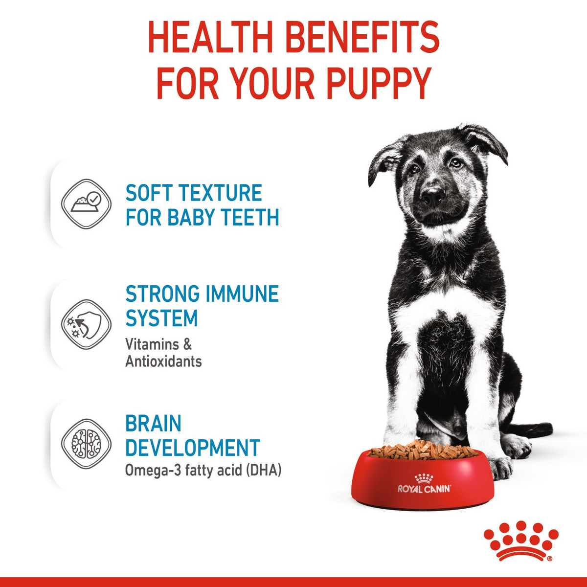 Royal Canin Maxi Puppy in Gravy Wet Dog Food