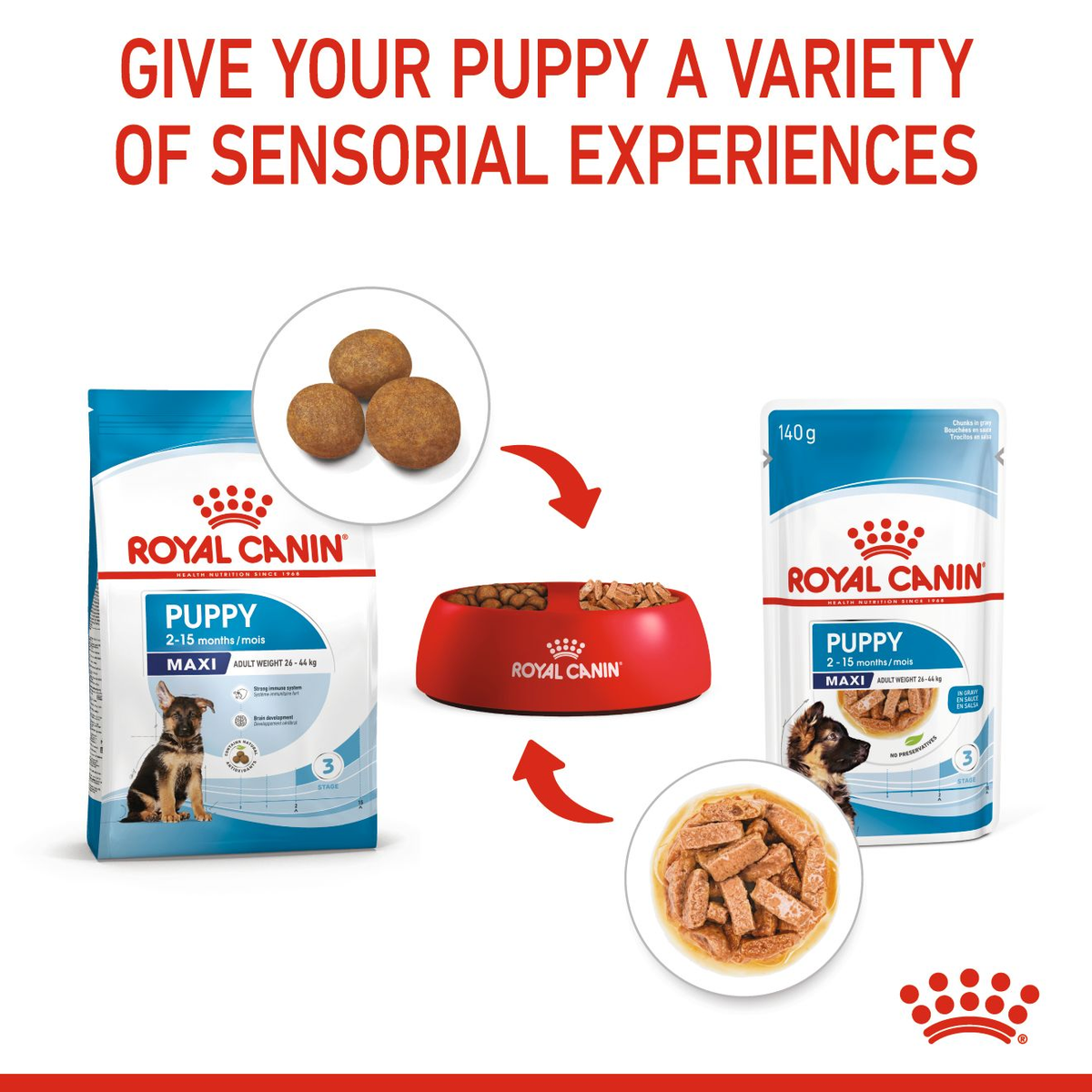 Royal Canin Maxi Puppy in Gravy Wet Dog Food