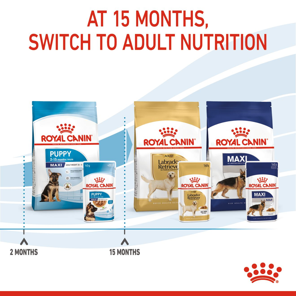 Royal Canin Maxi Puppy in Gravy Wet Dog Food