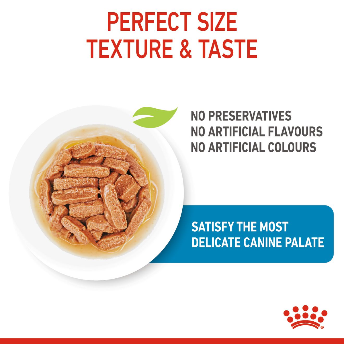 Royal Canin Medium Puppy in Gravy Wet Dog Food