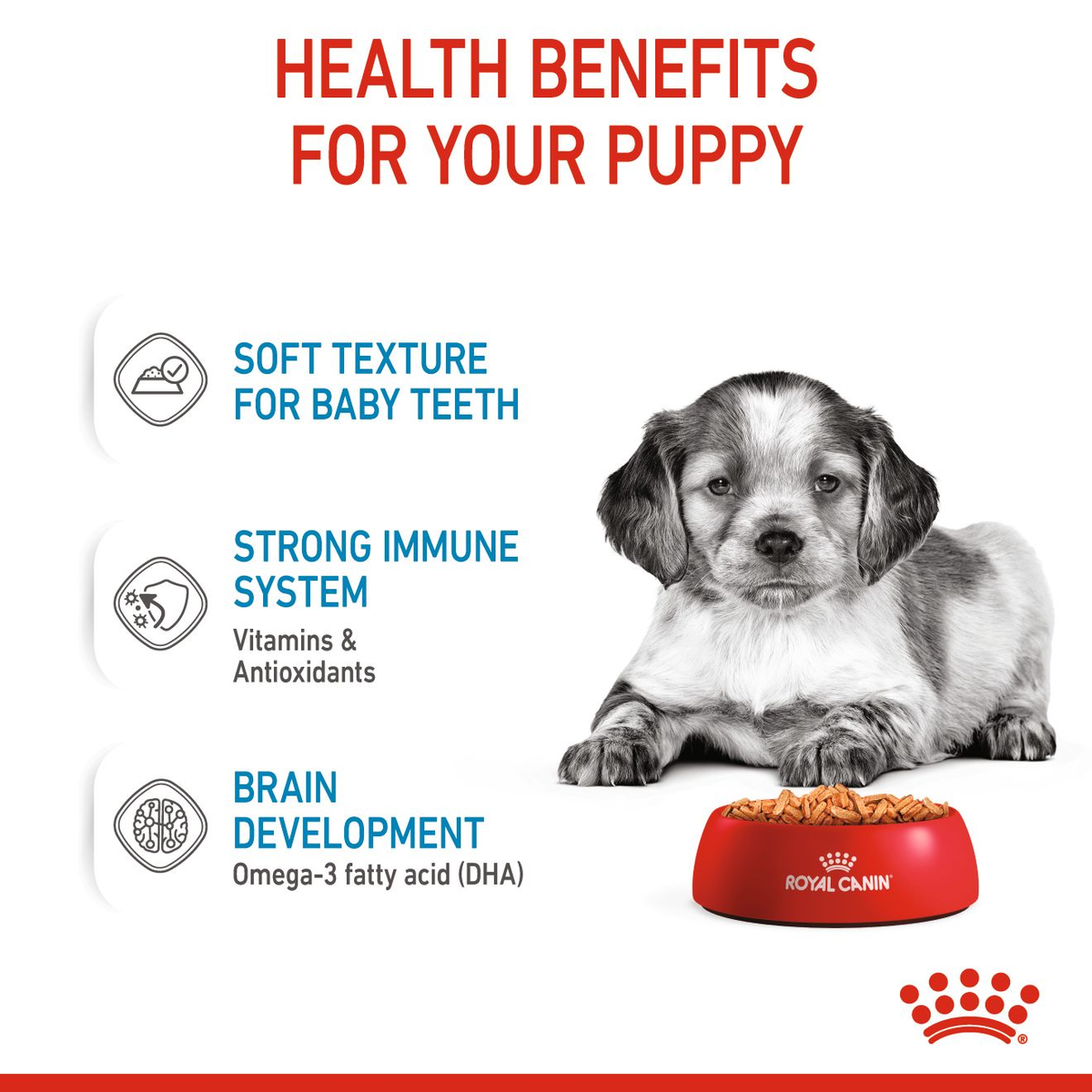 Royal Canin Medium Puppy in Gravy Wet Dog Food