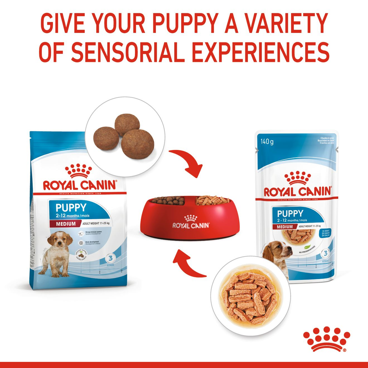 Royal Canin Medium Puppy in Gravy Wet Dog Food