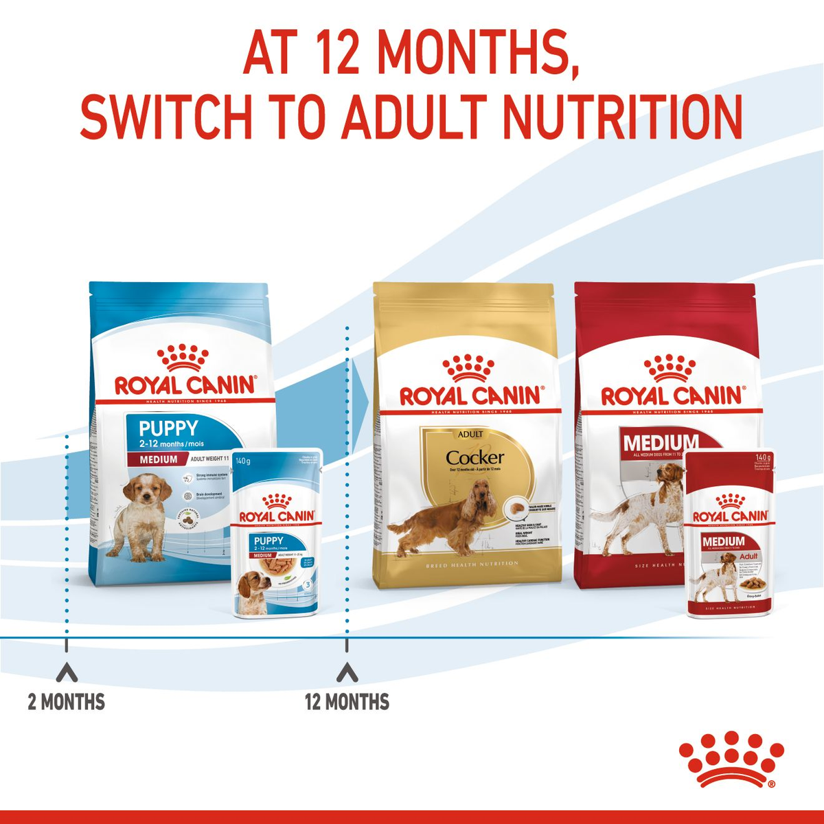 Royal Canin Medium Puppy in Gravy Wet Dog Food