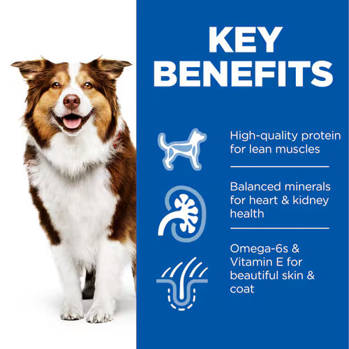 Hill’s Science Plan Mature Adult 7+ Dog Wet Food with Chicken (12x370g)