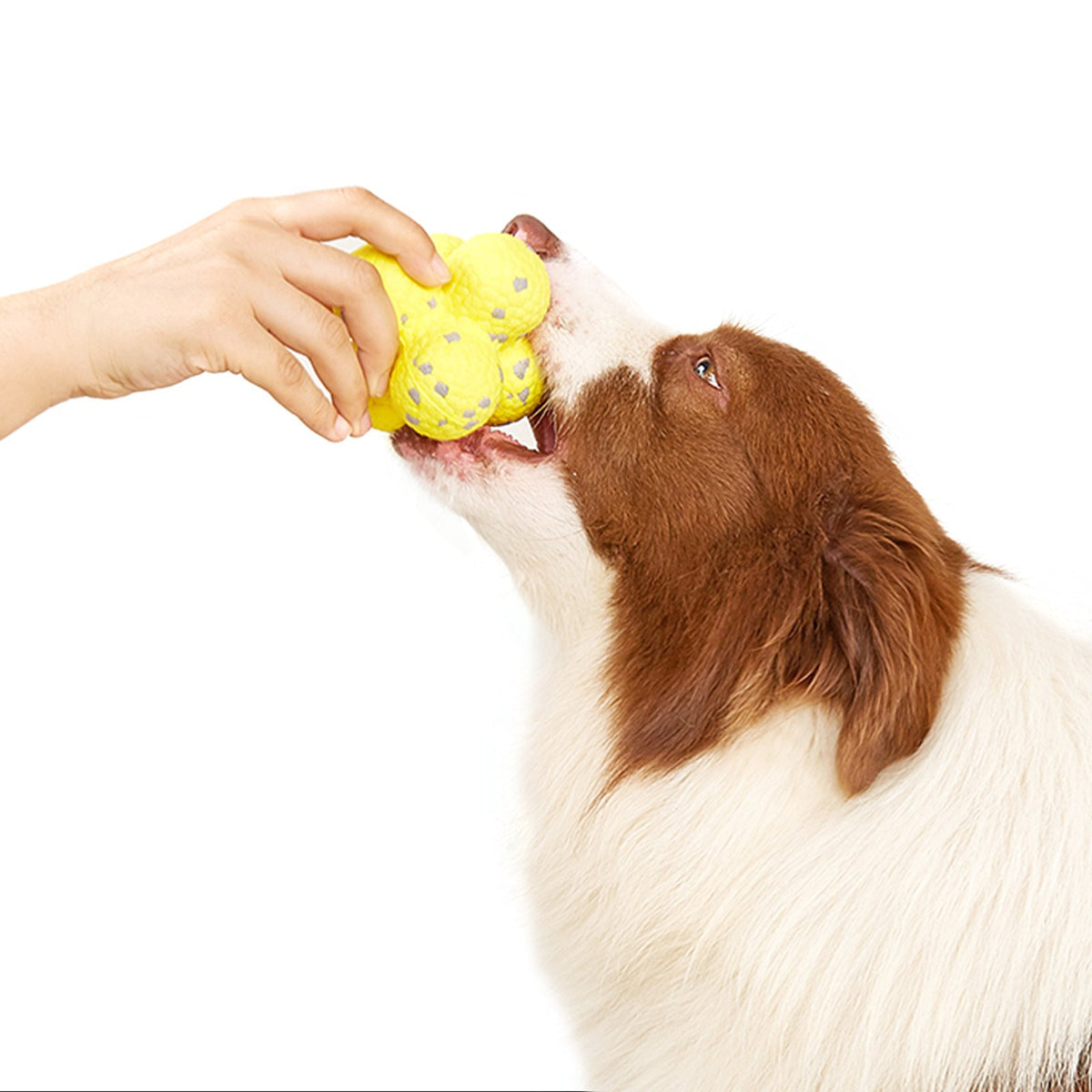 FOFOS Ultra-Durable Dog Ball Yellow