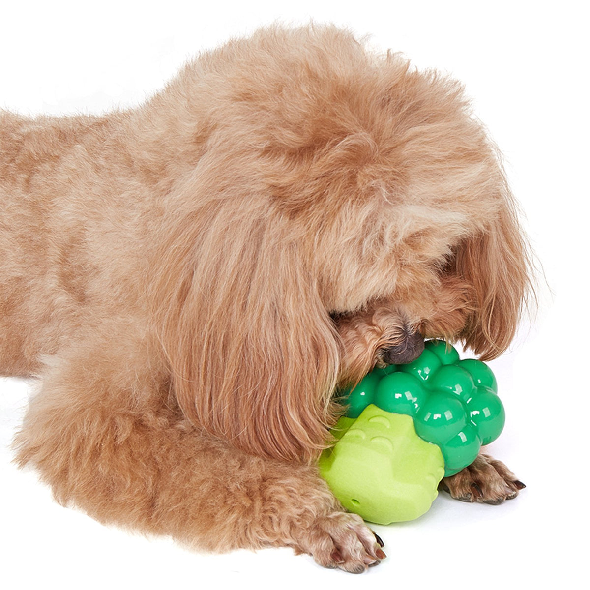 FOFOS Broccoli Giggling Vegi-Bites Dog Toy