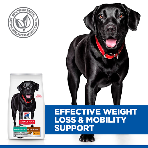 Hill’s Science Plan Perfect Weight & Active Mobility Large Breed Adult Dog Food with Chicken (12kg)